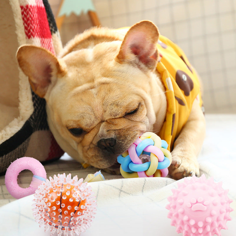 Non-Toxic Rubber Puppy Chew Toy