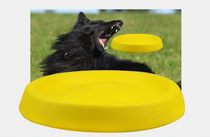 Outdoor Dog Fetch Throwing Toy