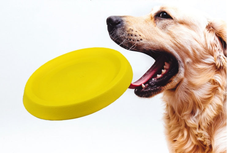 Outdoor Dog Fetch Throwing Toy