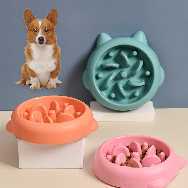 Anti-Choking Slow Feeder Bowl for Dogs and Cats