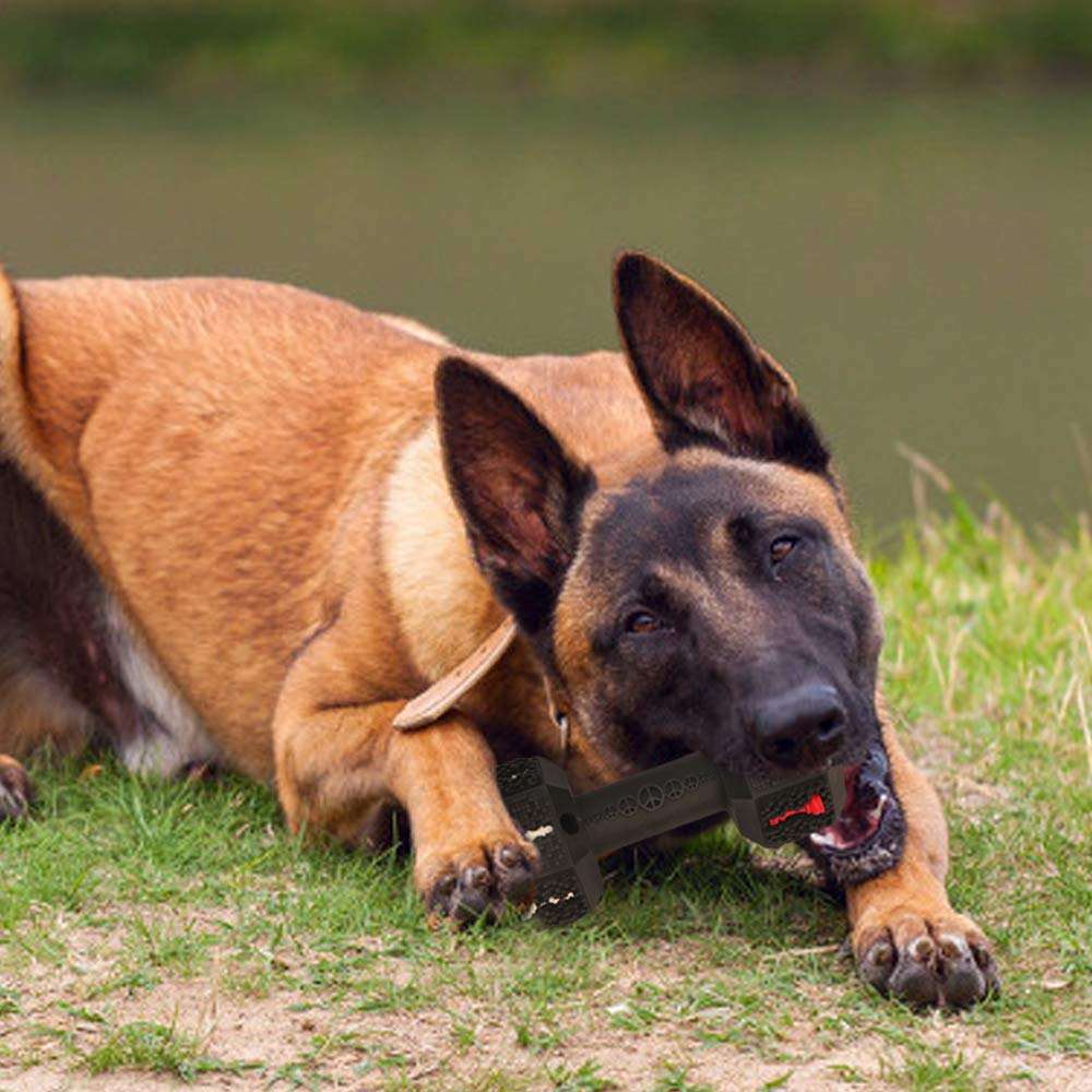 Indestructible Dog Chew Toy for Aggressive Chewers