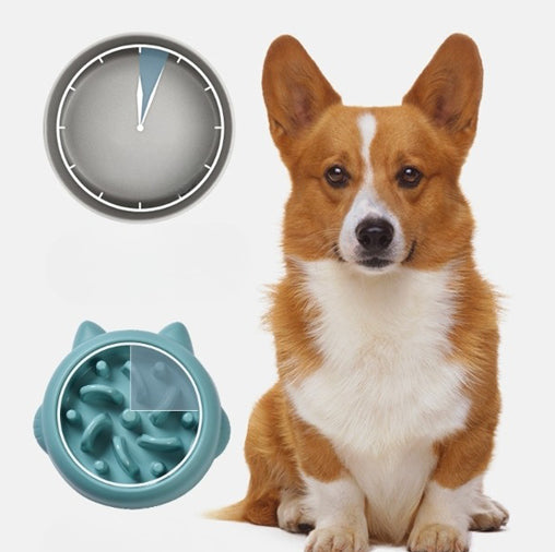 Anti-Choking Slow Feeder Bowl for Dogs and Cats