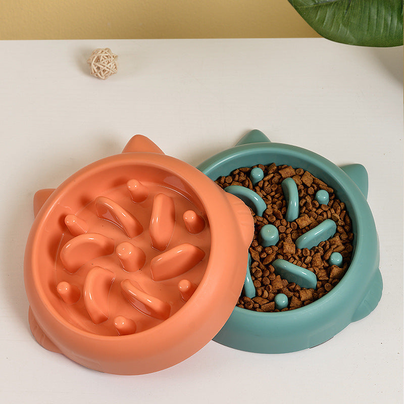 Anti-Choking Slow Feeder Bowl for Dogs and Cats