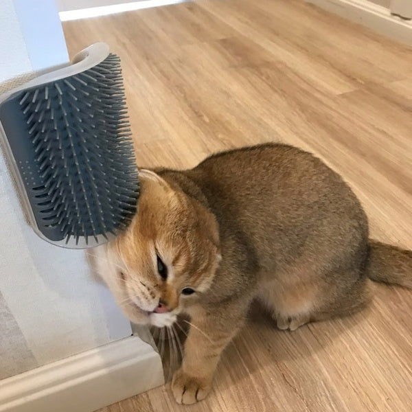 Cat Self-Grooming Wall Corner Brush